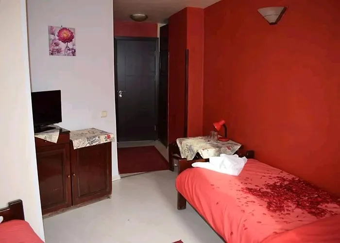 Trakia 普罗夫迪夫